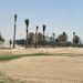 <7th Green - New Tree Mound