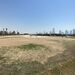 <7th Green - New Contours