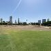 <3rd Green