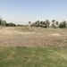 <5th Green